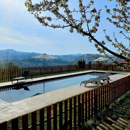 La Casa Nettarina Guest House Poggio Mirteto Exterior foto