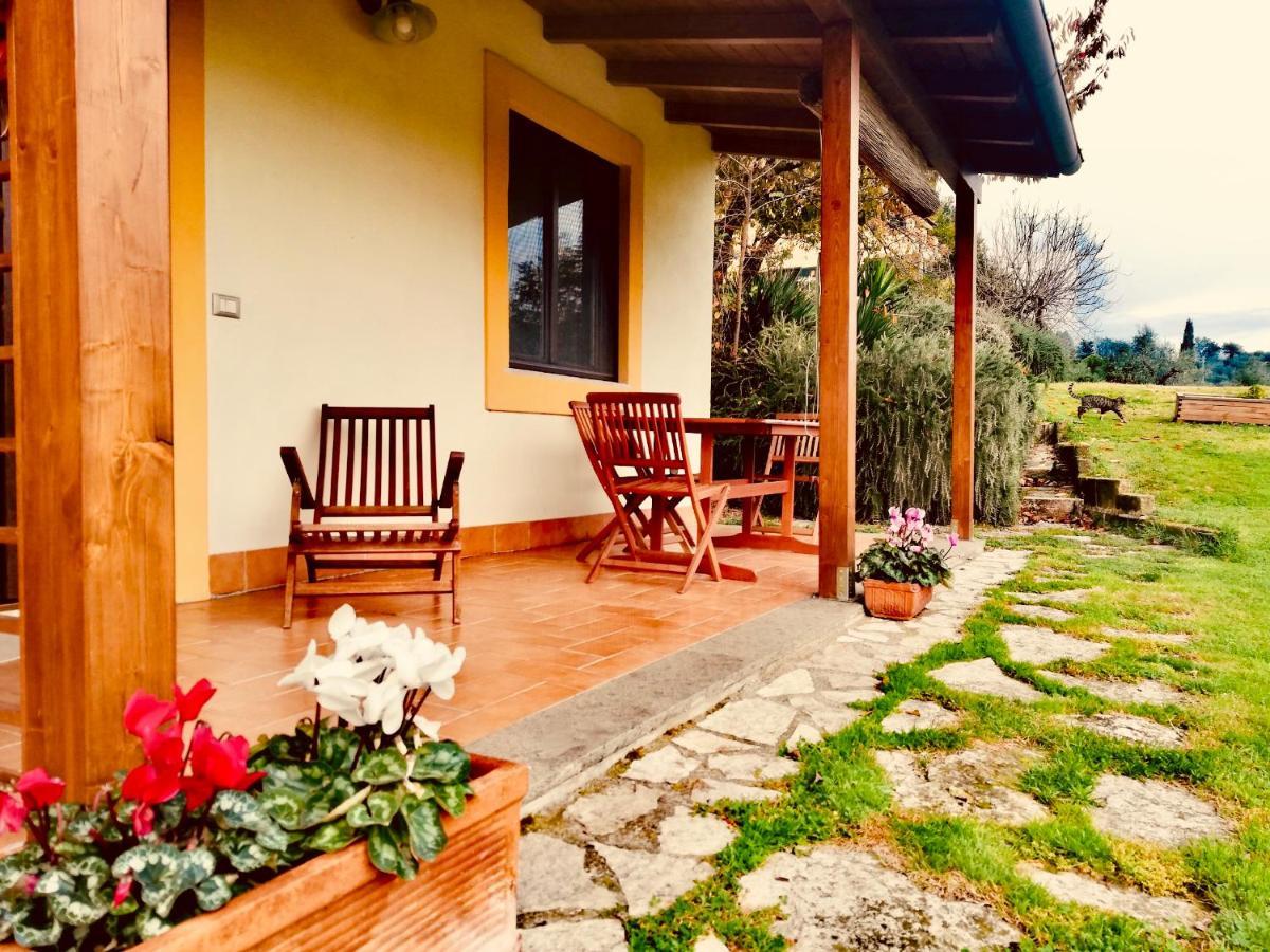 La Casa Nettarina Guest House Poggio Mirteto Exterior foto