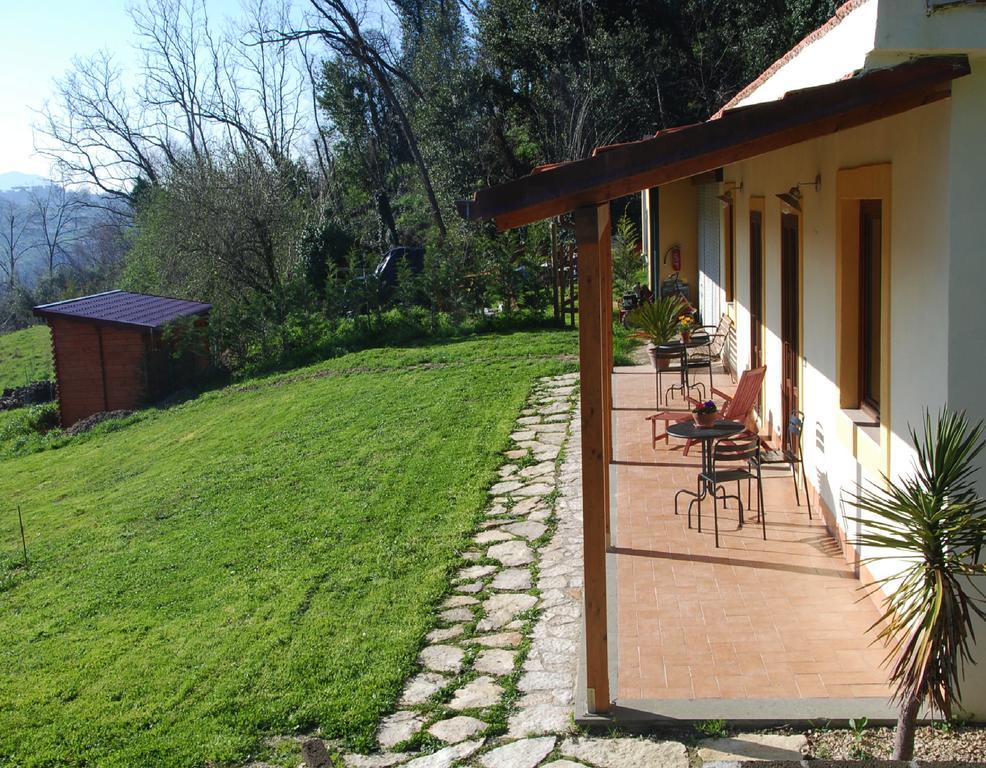 La Casa Nettarina Guest House Poggio Mirteto Exterior foto