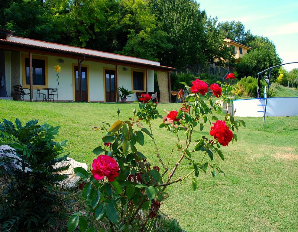 La Casa Nettarina Guest House Poggio Mirteto Exterior foto